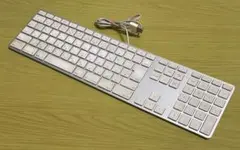 Apple Keyboard A1243 N