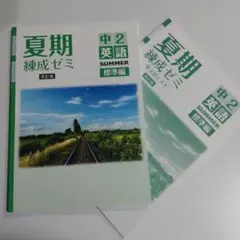 2025年最新】練成ゼミ 夏期の人気アイテム - メルカリ