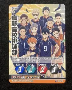 ハイキュー バボカ プロモ 烏野高校排球部