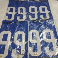 プレイヤーズTシャツ2024 L 青色 