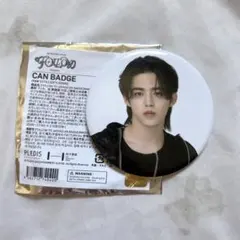 SEVENTEEN セブチ エスクプス FOLLOW TO JAPAN 缶バッジ