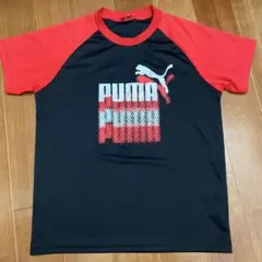 PUMA プーマ キッズ Tシャツ