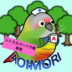 シトラスバーべラ様専用