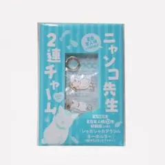 【未開封】　ニャンコ先生２連チャーム