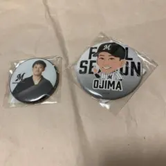 千葉ロッテマリーンズ 14 小島和哉 球場 ファイナル ガチャ 缶バッジ２個