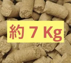 Item thumbnail for item 4df80d5c-5474-4a41-8236-7f9f9cda241f