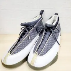 NIKE エアジョーダン 15 AIR JORDAN スニーカー 29cm