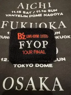 Item thumbnail for item 9ce64786-a6d9-481b-bea8-81141db4e793