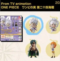 ワンピの実 第二十四海戦 モンキー・D・ルフィ