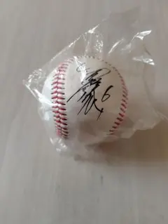 Item thumbnail for item b3e105c6-b9d4-42f2-90f3-6469c9452dfd