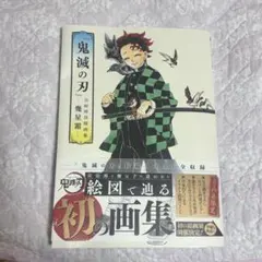 鬼滅の刃 アートブックと特典セット 集英社 【初版/帯付き】『鬼滅の刃』吾峠呼世晴画集―幾星霜