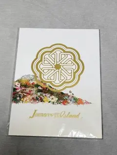 Johnny's HappyNewYear IsLAND パンフレット