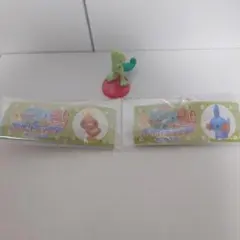 ポケモン チョコエッグ 旅立ちの3匹 ホウエン御三家