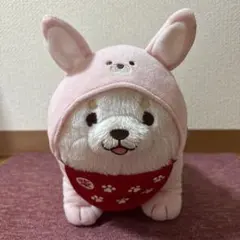 忠犬もちしば いろんなどうぶつなりきりNBぬいぐるみ うめのサムネイル