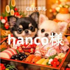 hanco様確認用