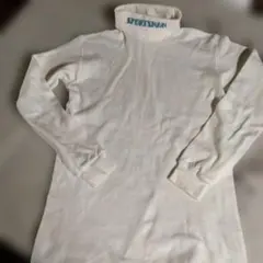 Item thumbnail for item 454953dd-e234-4951-861e-55e9f1ab283d