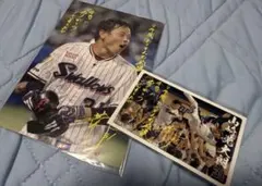 山崎晃大朗選手　引退記念グルメ特典ポストカード　シール セット