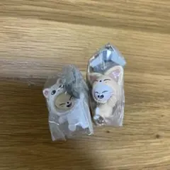 skzoo ガチャ ジニレット　フォクシー　2種セット