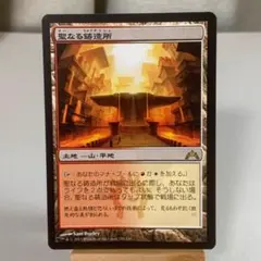 2025年最新】Sacred foundryの人気アイテム - メルカリ