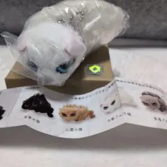 【カプセルトイ】新品未開封 なつかない猫ぬいぐるみ 大家さんのねこ