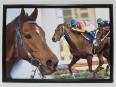 競馬 テイエムオペラオー パネル 心に残る名馬