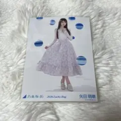 乃木坂46 生写真 カレンダー衣装 2026 lucky bag 矢田萌華 ヒキ