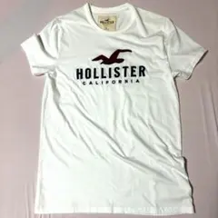 ホリスター Tシャツ