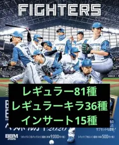 2026年最新】矢澤宏太 カードの人気アイテム - メルカリ