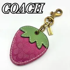 COACH コーチ シグネチャー チャーム ストロベリー いちご キーホルダー