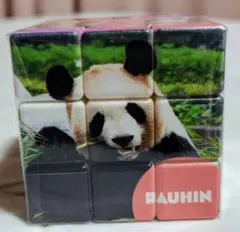 Item thumbnail for item d1e5e663-dae2-4d49-92be-4217edb7878a