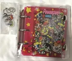 E*a様 パワーパフガールズ アクリルシャカシャカシール帳　透明カバー付き A8
