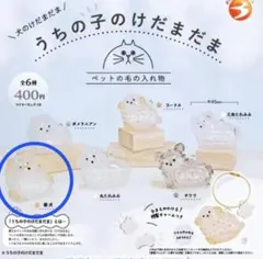 【ラスト1点】うちの子のけだまだま 柴犬