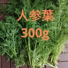 大根 大根菜 大根葉 野菜 300㌘～ - メルカリ
