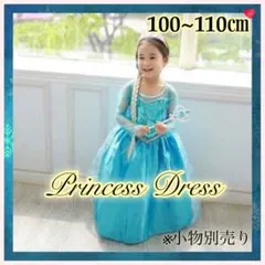 【新品】プリンセス ドレス☆110 100 キッズ アナと雪 エルサ ディズニー