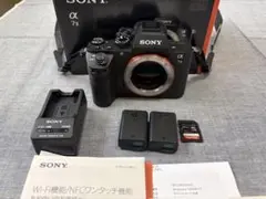 2026年最新】sony α7IIの人気アイテム - メルカリ
