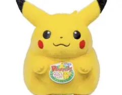 新品　ポケモン30周年記念おかえり!ピカチュウ1/1