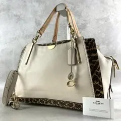 ✨稀少✨美品✨コーチ　ドリーマー　ハンドバッグ　2way ヘビ革　カラーブロック