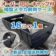 5/10値上】メダカ飼育ケース 40㍑x1個 トロ舟 オーバーフロー 金魚飼育