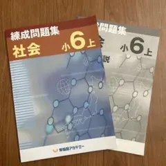 早稲アカ　練成問題集 社会 小6 上