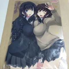 非売品森島はるか　桜井梨穂子水着クリアファイルアマガミ 付録