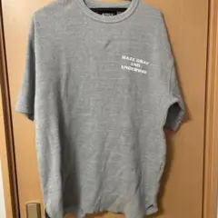 AVIREX ヘイズグレー Tシャツ L