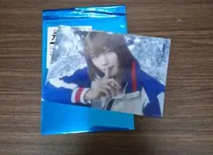 テニミュ4th 全氷 ランダムブロマイド 不二周助