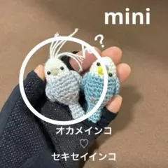 オカメインコの編みぐるみ本 - メルカリ