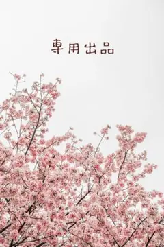 まゆゆ様 リクエスト 2点 まとめ商品