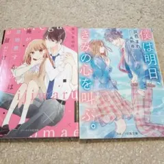 Item thumbnail for item 5db0dc25-0906-441d-9148-3d7b7e567bd8