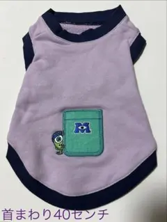 Item thumbnail for item 6bc3a3f0-c6dc-423e-b133-21682bd7aa98