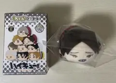 ハイキュー もちもちマスコット Vol.5 角名倫太郎