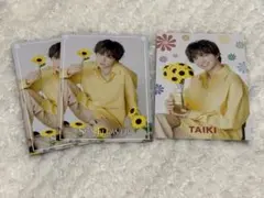 SUNFlower fantastics 佐藤大樹　フォトカ
