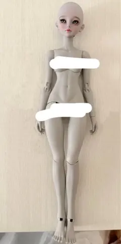 68211391_5