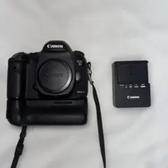 2025年最新】キヤノン bg-e11の人気アイテム - メルカリ